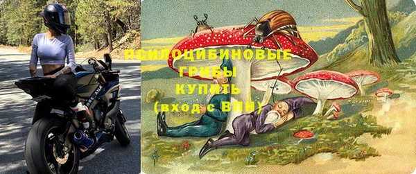 соль ск Алексеевка